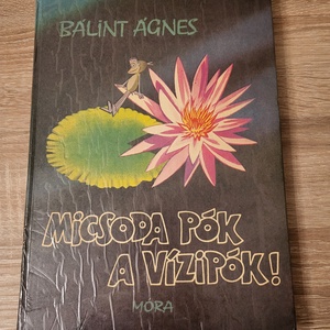 Bálint Ágnes: Micsoda pók a vízipók! - Meska.hu