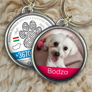 Egyedi kisállat biléta, Otthon & Életmód, Kisállatoknak, Kutyáknak, Kutya biléta, Fotó, grafika, rajz, illusztráció, MESKA