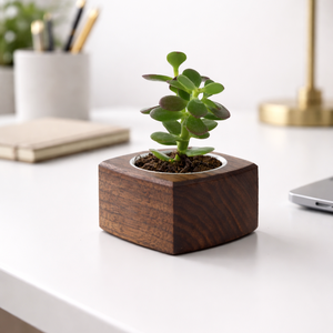 Mini növénytartó - otthon & életmód - virágdekoráció - virágdíszek - asztali virágdísz - Meska.hu