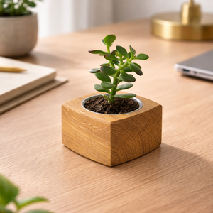 Mini növénytartó - otthon & életmód - virágdekoráció - virágdíszek - asztali virágdísz - Meska.hu