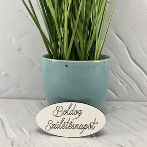 szülinapi tábla, DIY (Csináld magad), Egységcsomag, Gravírozás, pirográfia, MESKA