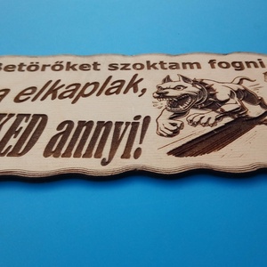 Humoros(nak szánt) kutyatábla. Neked annyi.... Vigyázz a kutya harap helyett.  - otthon & életmód - dekoráció - kép & falikép - táblakép - Meska.hu
