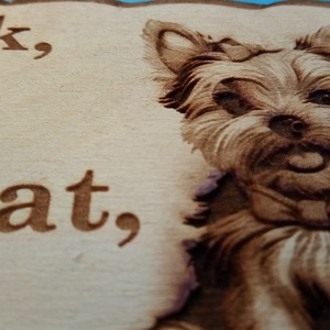 Humoros(nak szánt) kutyatábla. Pattogó kutyus.  Vigyázz a kutya harap helyett.  - otthon & életmód - dekoráció - kép & falikép - táblakép - Meska.hu