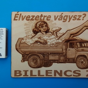Vicces falikép, billencs zillel, csajszival. (rajz) - otthon & életmód - dekoráció - kép & falikép - fából készült kép - Meska.hu