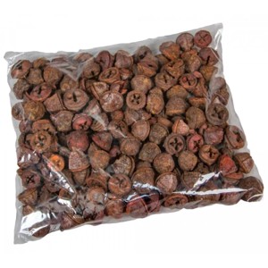 Eukaliptusz gomb 28 dkg - terrakotta, Kellékek & szerszámok, Dekorációs kellékek, Termések, terméscsomagok, , MESKA