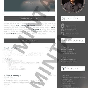 Professzionális önéletrajz - Meska.hu