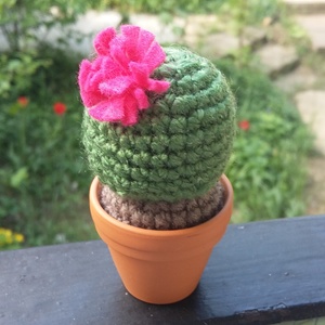 Kaktusz -  - Meska.hu