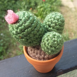 Kaktusz -  - Meska.hu