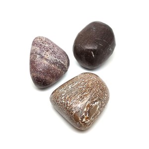 Dinócsont dobcsiszolat, Kellékek & szerszámok, Ásvány alapanyag, Marokkő, , MESKA