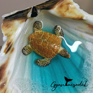 Óriás kagyló gyűrűtartó, ékszertartó, teknőssel - Epoxi, epoxy gyanta, műgyanta - Gyantacsodák - esküvő - kiegészítők - gyűrűtartó & gyűrűpárna - Meska.hu