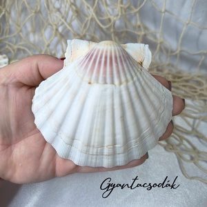 ÉKSZERTARTÓ - VALÓDI ÓRIÁSKAGYLÓ GYŰRŰTARTÓ - TÜRKIZ, TEKNŐSSEL - GYANTACSODÁK - otthon & életmód - dekoráció - asztal és polc dekoráció - asztaldísz - Meska.hu