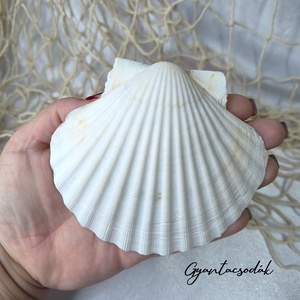 ÉKSZERTARTÓ BALATON MINTÁVAL - VALÓDI ÓRIÁSKAGYLÓ GYŰRŰTARTÓ - GYANTACSODÁK - otthon & életmód - dekoráció - asztal és polc dekoráció - asztaldísz - Meska.hu