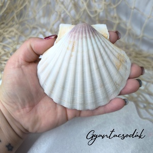 ÉKSZERTARTÓ BALATON MINTÁVAL - VALÓDI ÓRIÁSKAGYLÓ GYŰRŰTARTÓ 2 - GYANTACSODÁK - otthon & életmód - dekoráció - asztal és polc dekoráció - asztaldísz - Meska.hu