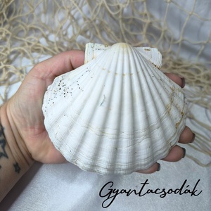 ÉKSZERTARTÓ FEHÉR PLUMERIA VIRÁGGAL - VALÓDI ÓRIÁSKAGYLÓ GYŰRŰTARTÓ - GYANTACSODÁK - otthon & életmód - dekoráció - asztal és polc dekoráció - asztaldísz - Meska.hu