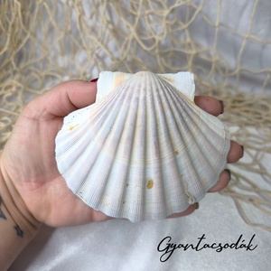 ÉKSZERTARTÓ RÓZSASZÍN PLUMERIA VIRÁGGAL - VALÓDI ÓRIÁSKAGYLÓ GYŰRŰTARTÓ - GYANTACSODÁK - otthon & életmód - dekoráció - asztal és polc dekoráció - asztaldísz - Meska.hu