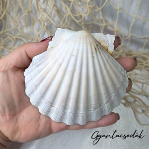 ÉKSZERTARTÓ TENGER MINTÁVAL - VALÓDI ÓRIÁSKAGYLÓ GYŰRŰTARTÓ - GYANTACSODÁK - otthon & életmód - dekoráció - asztal és polc dekoráció - asztaldísz - Meska.hu