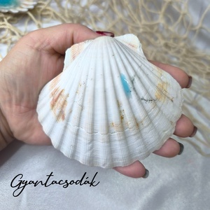 ÉKSZERTARTÓ TENGER MINTÁVAL 2 - VALÓDI ÓRIÁSKAGYLÓ GYŰRŰTARTÓ - GYANTACSODÁK - otthon & életmód - dekoráció - asztal és polc dekoráció - asztaldísz - Meska.hu