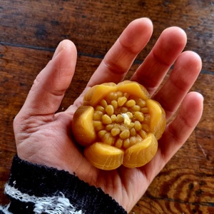 Méhviasz tulipán gyertya, Otthon & Életmód, Gyertya, illat, aroma, Gyertya, Gyertya-, mécseskészítés, MESKA