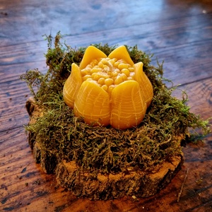 Méhviasz tulipán gyertya - otthon & életmód - gyertya, illat, aroma - gyertya - Meska.hu