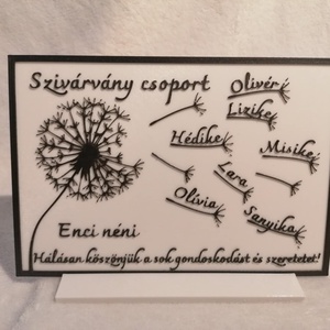 Ballagási névre szóló köszönő tábla - Meska.hu