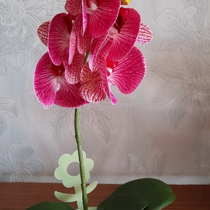 Rózsaszín örök-orchidea zöld vödröcskében. - Meska.hu