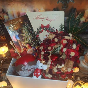 Ajándékcsomag csokoládéval mesekönyvvel Alma Magdi kisegér karácsonyi varázslat egérke figurával karácsonyra gyerekenek, Élelmiszer, Gourmet ajándékcsomag, Mindenmás, MESKA