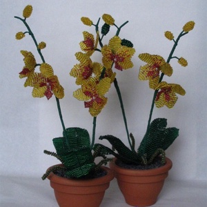 Sárga  orchidea cserépben, asztali dísz -  - Meska.hu