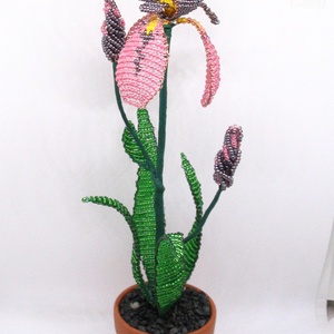 Nőszirom (írisz) gyöngyből, cserépben -  - Meska.hu