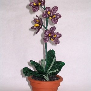 Lila gyöngy orchidea  virág cserépben - Meska.hu