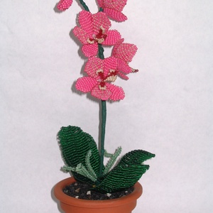 Orchidea ; gyöngy virág cserépben; asztaldísz - otthon & életmód - dekoráció - asztal és polc dekoráció - asztaldísz - Meska.hu