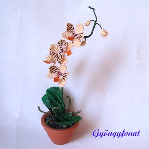 Orchidea gyöngyből;   virág cserépben - Meska.hu