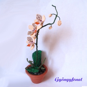 Orchidea gyöngyből;   virág cserépben - otthon & lakás - dekoráció - asztal és polc dekoráció - asztaldísz - Meska.hu