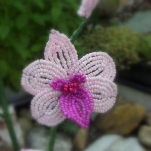 Orchidea gyöngyből -  - Meska.hu