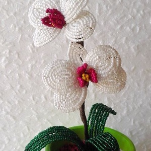 Lepke orchidea - Meska.hu Lepke orchidea - Meska.hu
