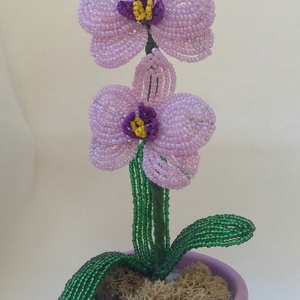 Lepke orchidea - Meska.hu Lepke orchidea - Meska.hu