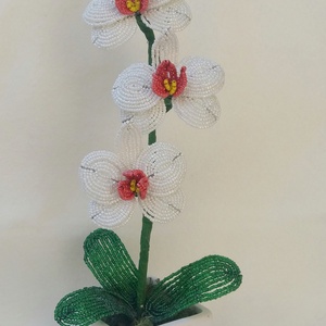 Orchidea 3 -  - Meska.hu
