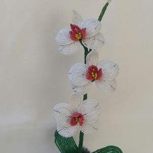 Orchidea 3 -  - Meska.hu