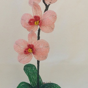 Orchidea 3 - Meska.hu Orchidea 3 - Meska.hu