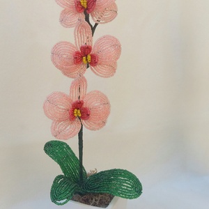 Orchidea 3 -  - Meska.hu