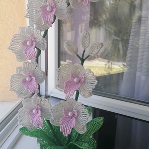 Gyöngyből készült orchidea, Otthon & Életmód, Dekoráció, Virágdísz és tartó, Csokor & Virágdísz, Gyöngyfűzés, gyöngyhímzés, MESKA