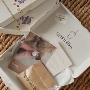 TAPIKA karácsonyi dobozos mintavevő kutya, cica, vagy ujjlenyomatos medálhoz, vagy karkötőhöz - diy (csináld magad) - egységcsomag - Meska.hu