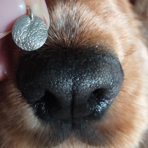 TAPIKA karácsonyi dobozos mintavevő kutya, cica, vagy ujjlenyomatos medálhoz, vagy karkötőhöz, DIY (Csináld magad), Egységcsomag, Ékszerkészítés, MESKA