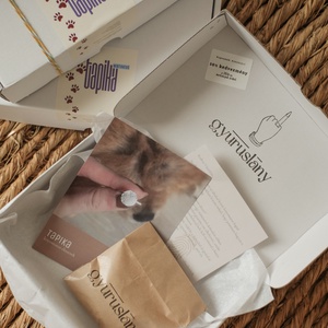 TAPIKA karácsonyi dobozos mintavevő kutya, cica, vagy ujjlenyomatos medálhoz, vagy karkötőhöz - diy (csináld magad) - egységcsomag - Meska.hu