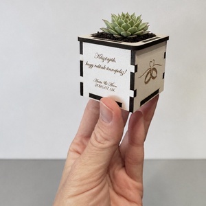 Mini cserép, virágtartó köszönőajándék, Esküvő, Emlék & Ajándék, Köszönőajándék, , MESKA