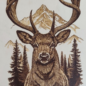 �getett kép, Otthon & Életmód, Dekoráció, Kép & Falikép, Fából készült kép, Gravírozás, pirográfia, MESKA