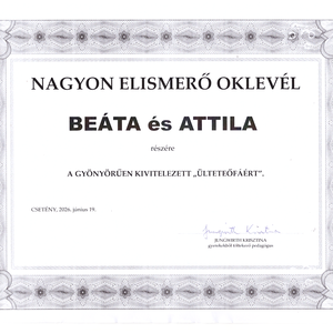 Ballagási emlékfa tábla faragott akácfából - otthon & életmód - ház & kert - névtábla - Meska.hu