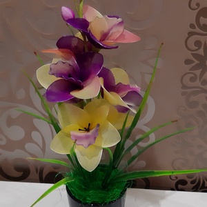 Harisnyavirág orchidea - otthon & életmód - dekoráció - virágdísz és tartó - csokor & virágdísz - Meska.hu