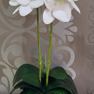 Hófehér élethű gumi orchidea, Otthon & Életmód, Dekoráció, Virágdísz és tartó, Csokor & Virágdísz, Mindenmás, Virágkötés, MESKA