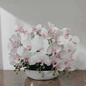 Prémium 4 szálas orchidea vzs magasfényű kerámia csónaktálban!, Otthon & Életmód, Virágdekoráció, Virágdíszek, Asztali virágdísz, , MESKA