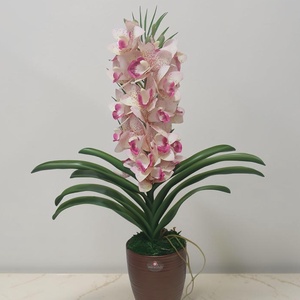 Két szálas csónakorchidea  - Meska.hu